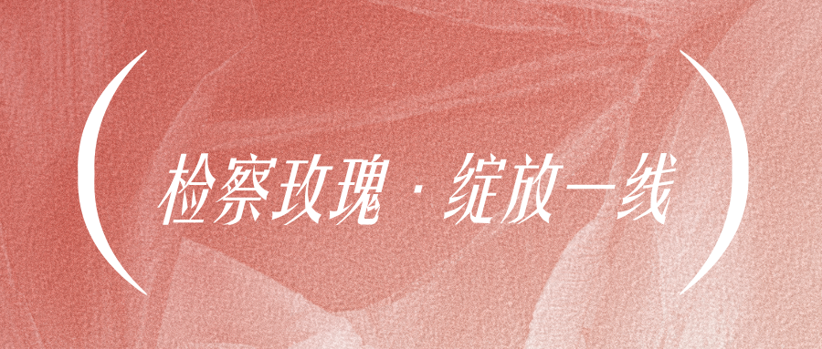 妇女节特辑 | 曹艺馨：芳华映检徽 巾帼护正义